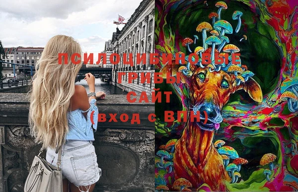 герыч Коряжма