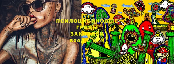 герыч Коряжма
