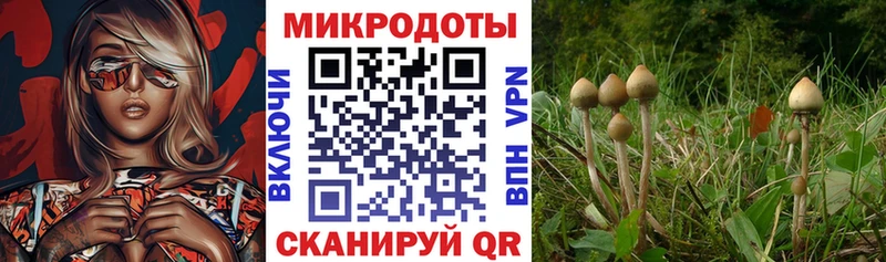 Галлюциногенные грибы прущие грибы  Купить  Снежинск 